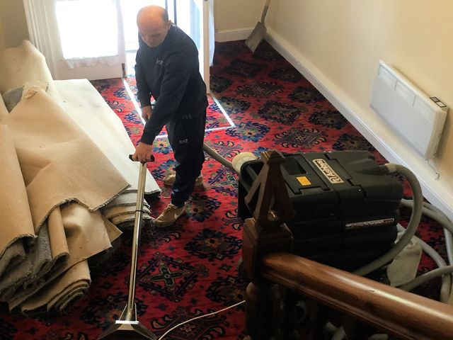 Carpet Cleaning in Progress